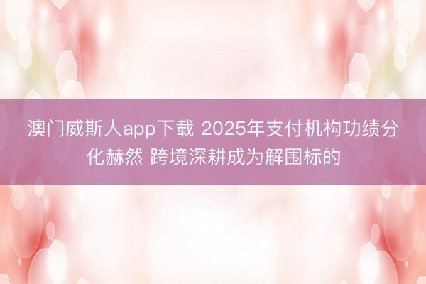 澳门威斯人app下载 2025年支付机构功绩分化赫然 跨境深耕成为解围标的